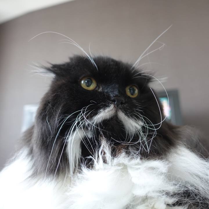 Ea25019b b819 46c7 9add 1dc7c27c6fdf 1555858681403