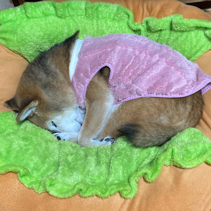 Ea252b71 be1a 4a4d 8418 202ef5ff584c 1766836520456