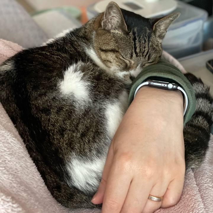 Ea253822 f888 4c69 8a9d 628e125530a8 1652230948854