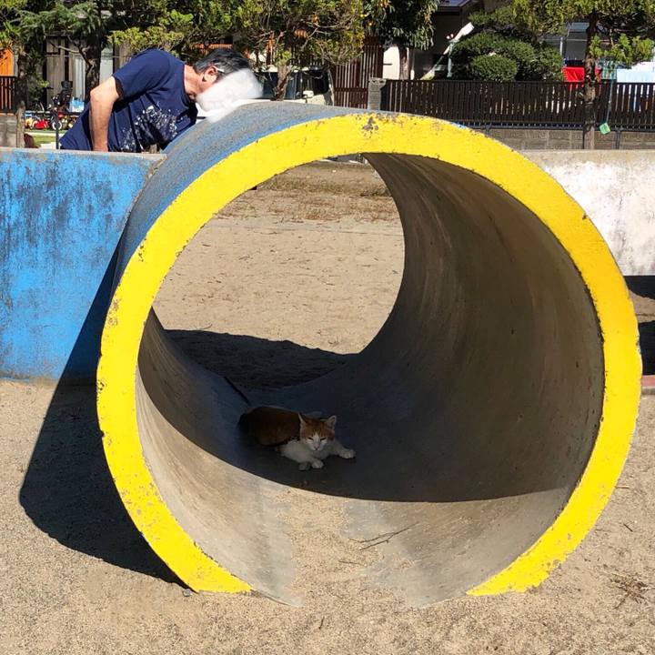 Ea2561ca d798 4dda 9446 847691e52f4a 1538973711325