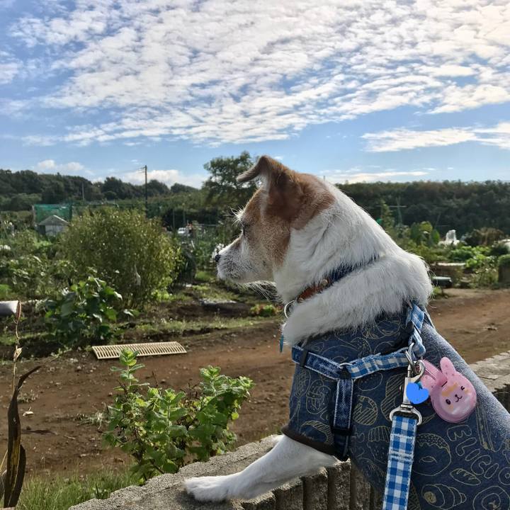 Ea256507 b1d7 4094 a5a9 3096bf283d1d 1635130665364