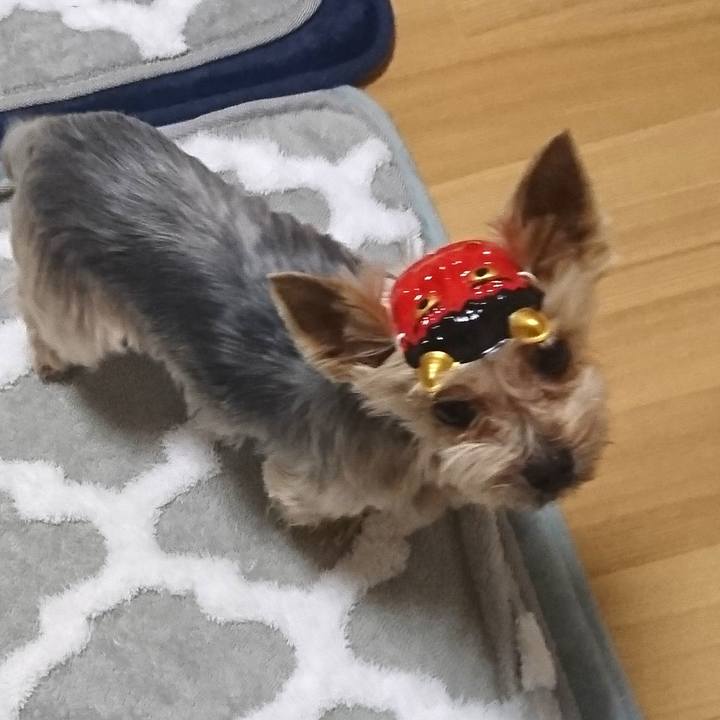 Ea25ef27 7305 4b40 9dc4 15398ab3a140 1549189023188