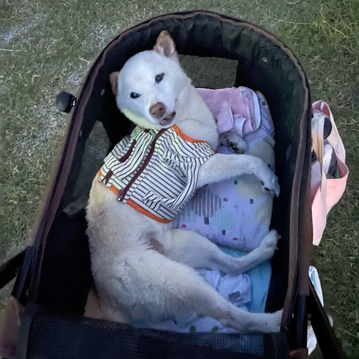 Ea26230a d784 452f 9cfc 9a99495c2aa9 1661434939680