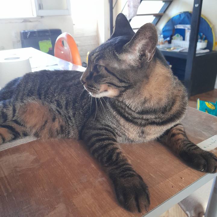 Ea2660f7 74d3 4969 859a 8313eb72b78d 1766800067081