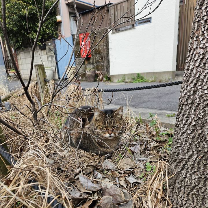 Ea2664e1 6073 469f aa83 44456c4b755a 1709352661787