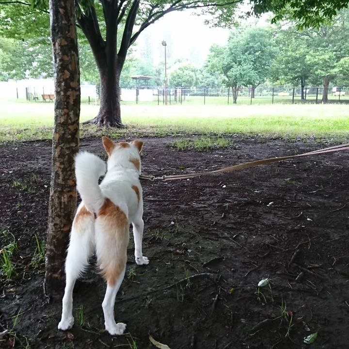 Ea268a23 b6cf 4271 bd8f 04b308f22672 1529909551583