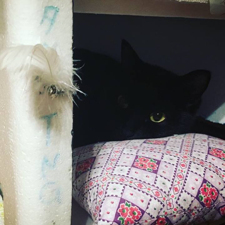 Ea269a04 6c4a 40a4 9f64 94c3ea800051 1545485446358