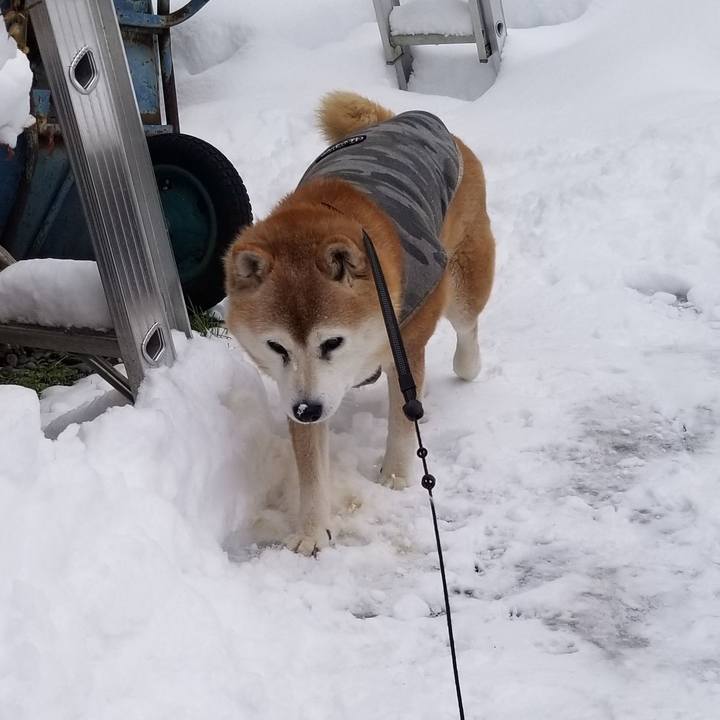 Ea269d93 52ed 40e9 9852 d483501fc9bf 1738812638715