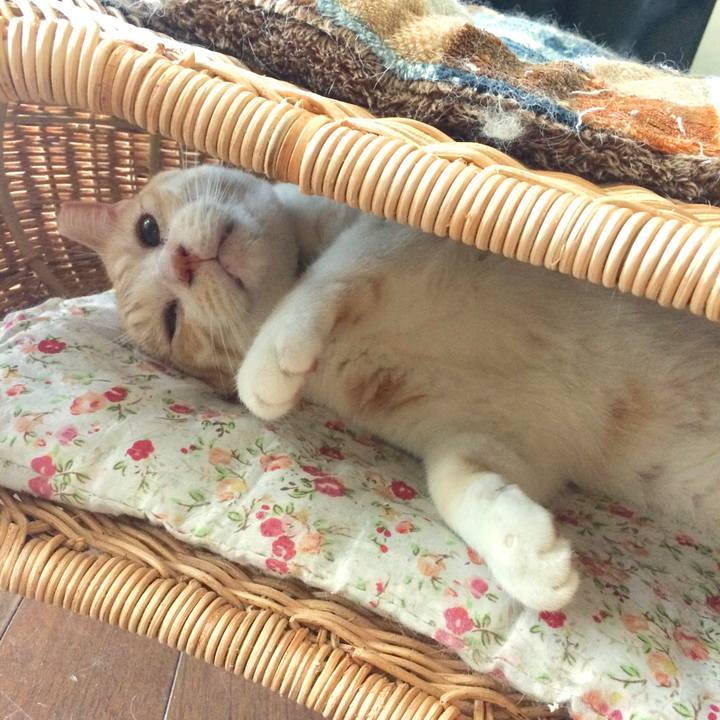 Ea26ba1a 37f3 4eed aa60 f1d3ec0a8448 1569761437167