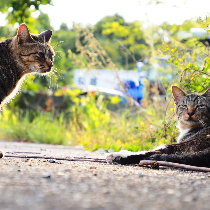 Ea26c565 ef5c 4a9f 8642 55908d7b224e 1600763027724