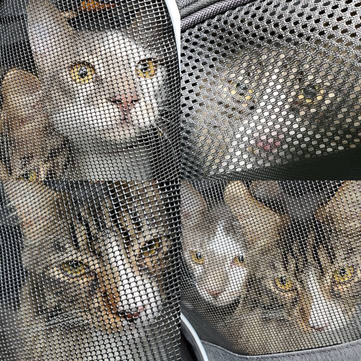 Ea26d32d 8625 454d b537 af6783bdabaa 1686019946440