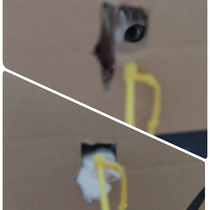 Ea26e35f dbd7 475a a94e a24eccf01070 1656118964953