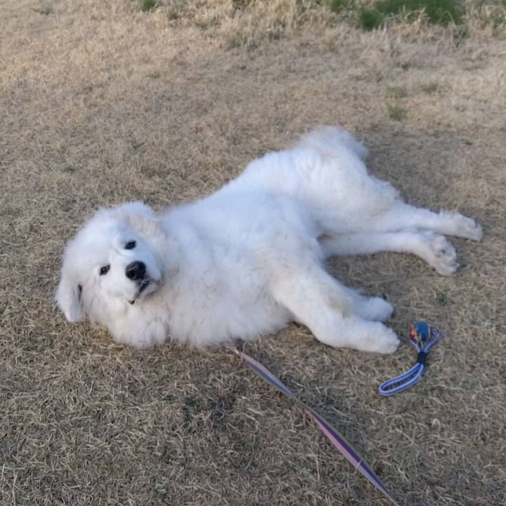 Ea26edd2 55c8 4024 8535 3e4a3d5da2b1 1679043172276