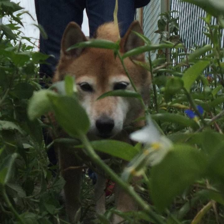 Ea2715e8 ba7c 4c80 9881 dbc9c4252c52 1629597918687