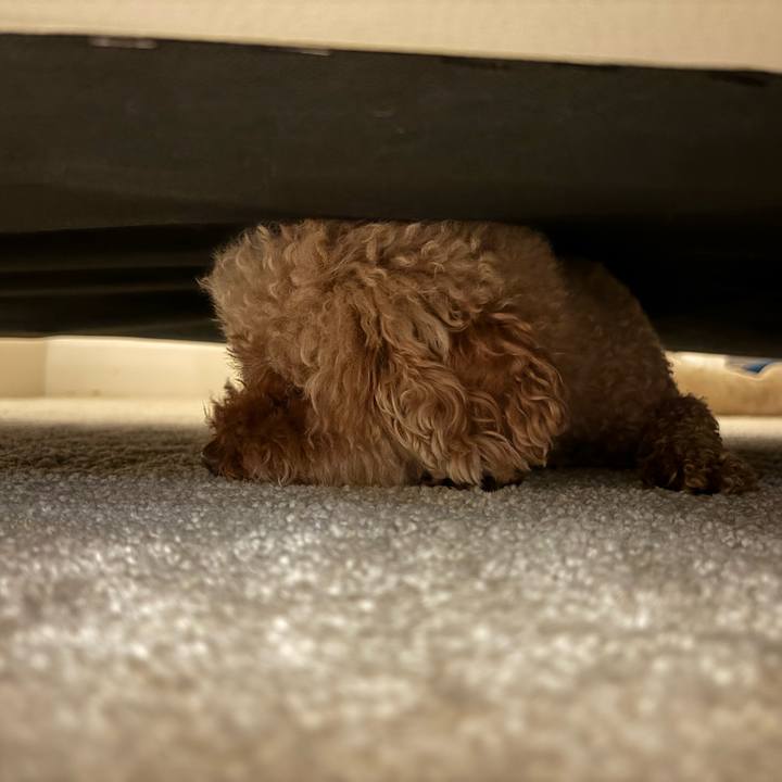 Ea277e6b ae0f 4d5d b709 bc9e6753e810 1718056322994