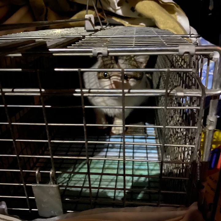 Ea27a154 83d9 4f77 accf f6c61a5c410f 1581240613648