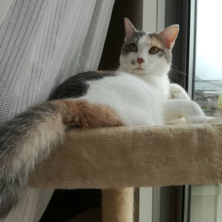 Ea27aa22 0a96 493a aff4 021955bc3515 1530925987506