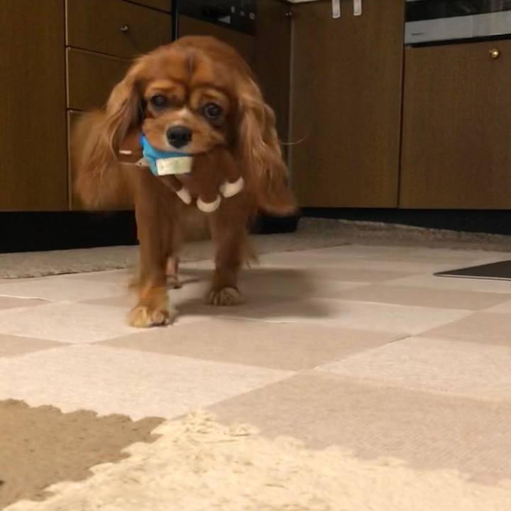 Ea27d7fd e3e5 4087 bca9 6009c3518a4f 1596207156161