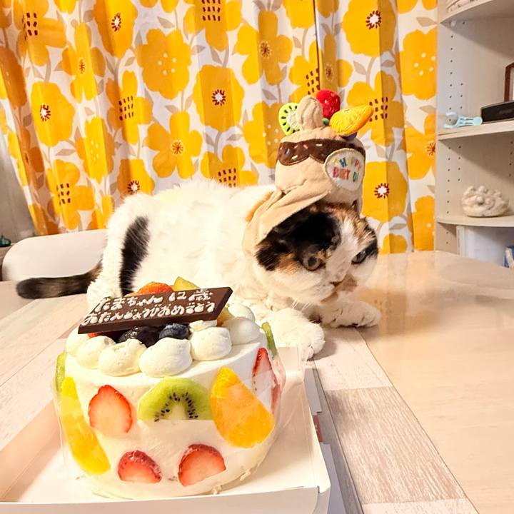 Ea285282 d02a 49f0 985a cebc193b0062 1761057450351