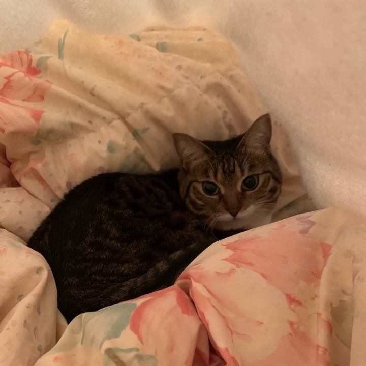 Ea285c55 b84c 453d acef 4acde91fde3e 1643119672540