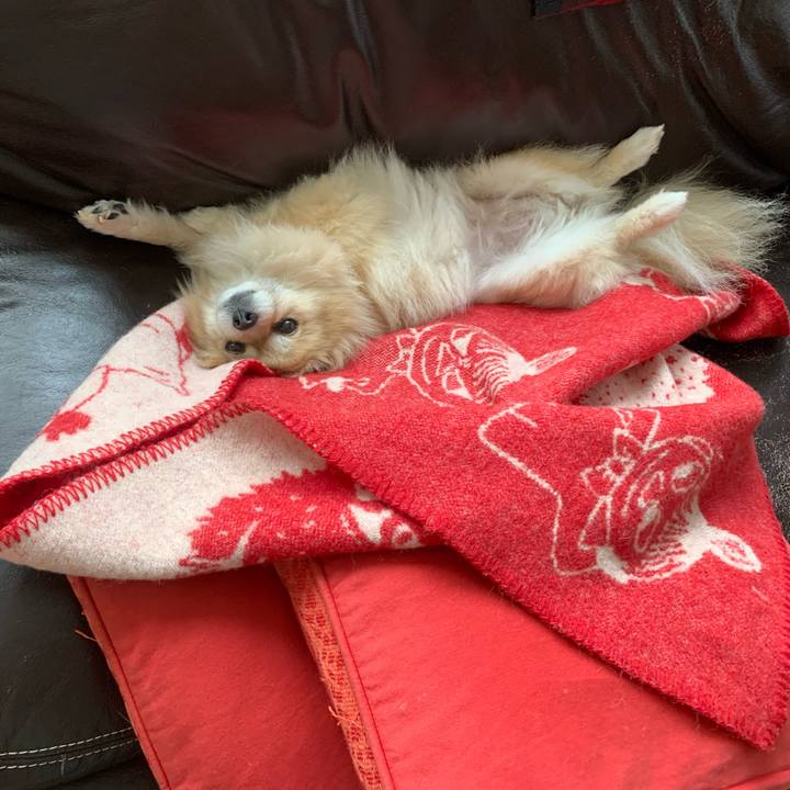 Ea2867be 3b67 44fe a583 73b96d285600 1616199120038