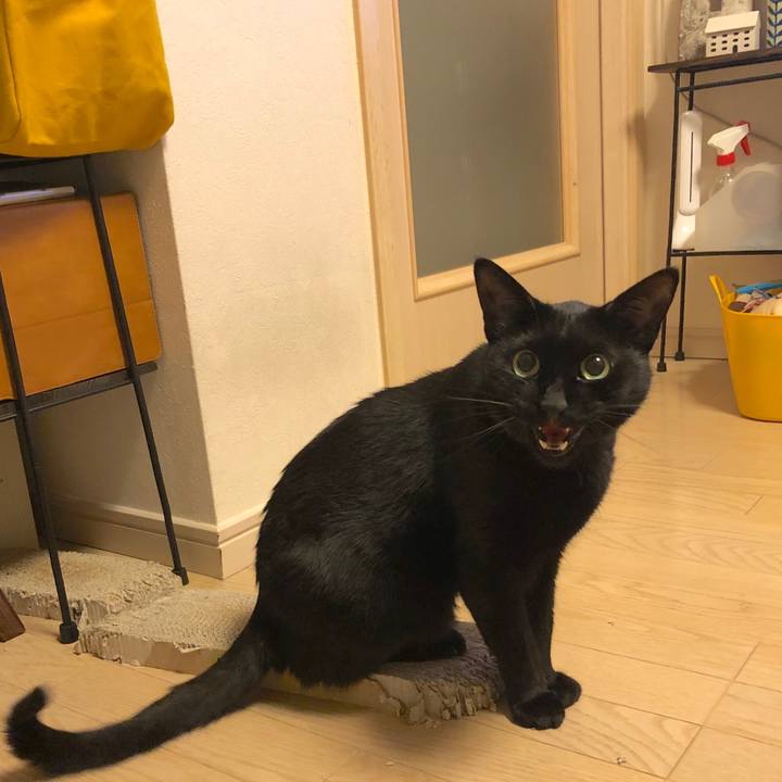 Ea287644 581f 4875 bdc0 075d0ca8fdde 1553518789576