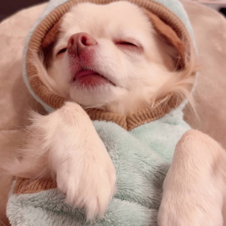 Ea287c78 bb28 4217 ade3 541b3ddc1c81 1733750761865