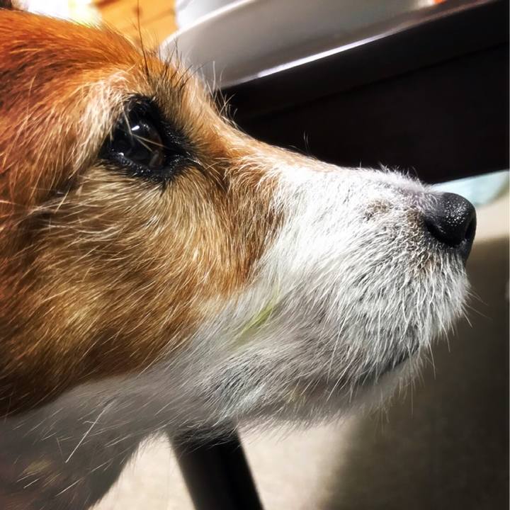 Ea288516 7af2 4d8e 8eb1 592e841567fb 1526198927779