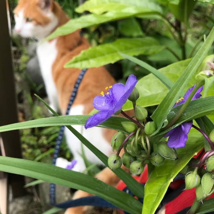 Ea28ad77 3d03 46be 955c 9027751061a8 1527841069186