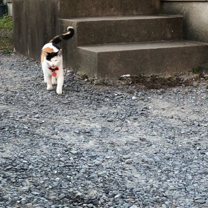 Ea28b1b1 1099 45ef bc92 66e7b76d62a7 1634249008086