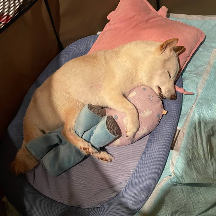 Ea28c2db 56f9 4f10 80e2 a01569a2d39e 1655045064301