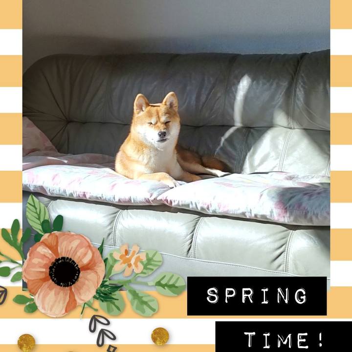 Ea28ca41 931b 4219 bff1 daafb41f5593 1708735115246