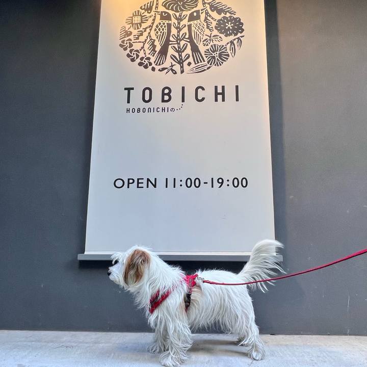 Ea28cad8 d267 4d7e 95e1 bf9717e6d07b 1733649182630