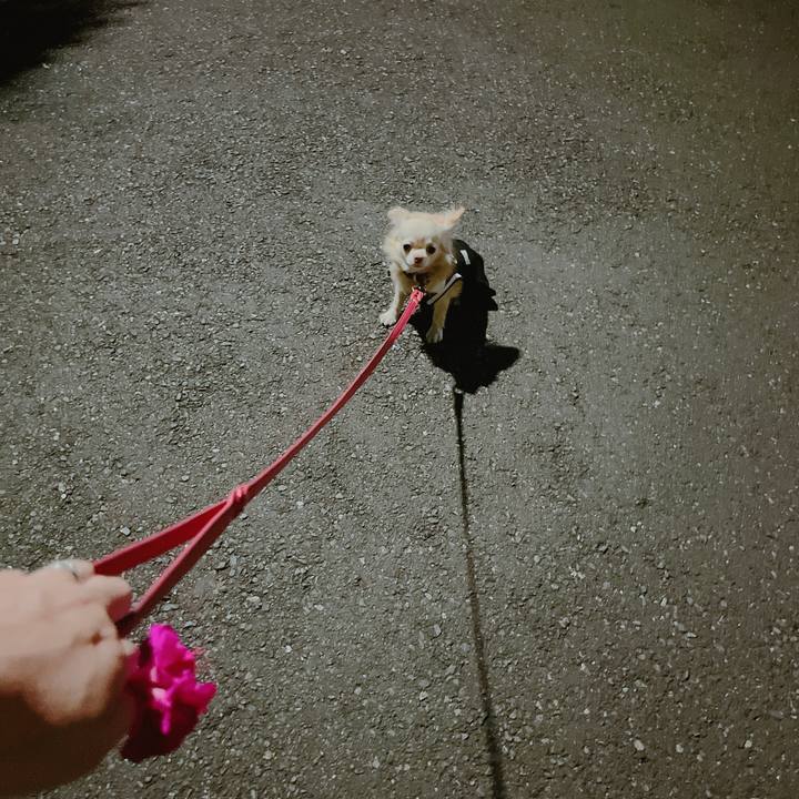 Ea28d624 87d9 47ab b112 8bfce9ca14fc 1661168151920