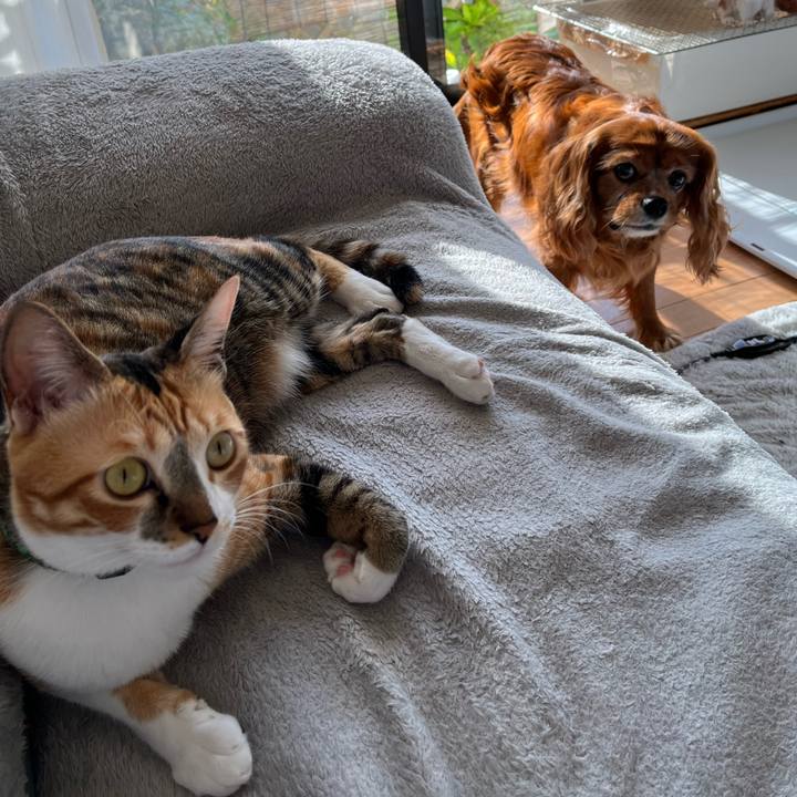 Ea28d800 2914 42e8 80c2 7ea80049e7d4 1699143449062