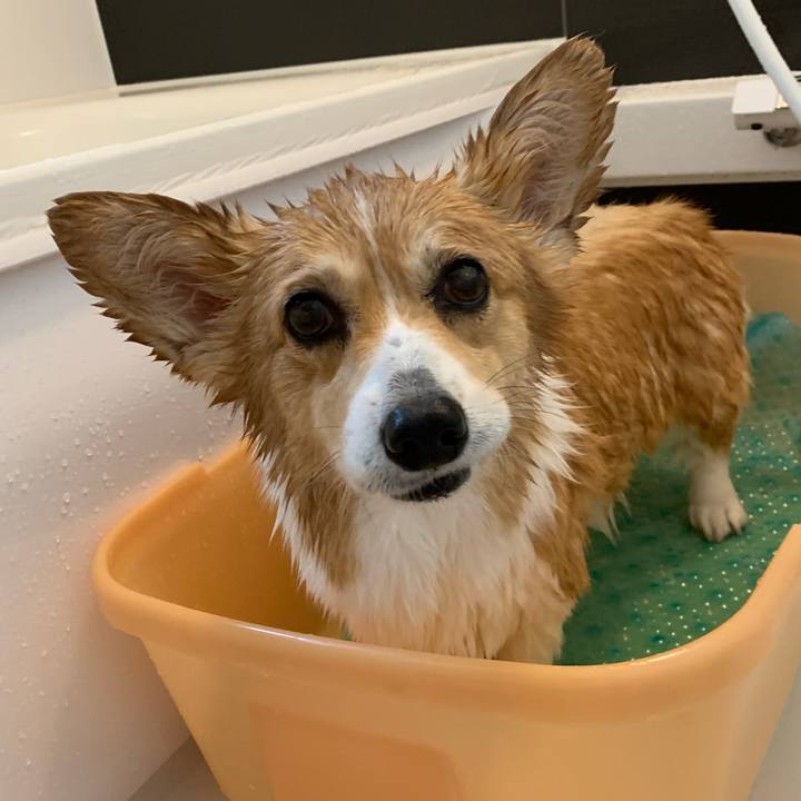 Ea291632 42fe 4c25 8925 b86323690400 1678771550594