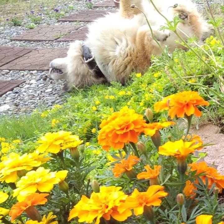 Ea291c74 da20 43d6 bc4c fb21eb350be6 1575265574495