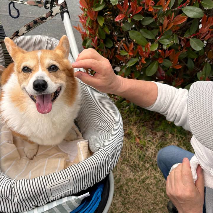 Ea2944eb 5a5b 4882 9cb2 deeab0113760 1774841388974