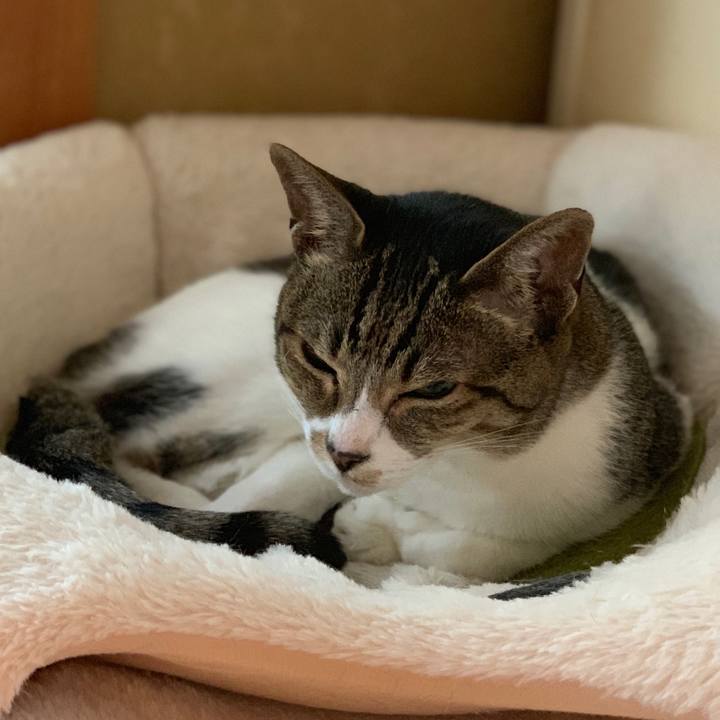 Ea295425 20e2 44e4 b7e1 eea57c3a23a3 1556501127933