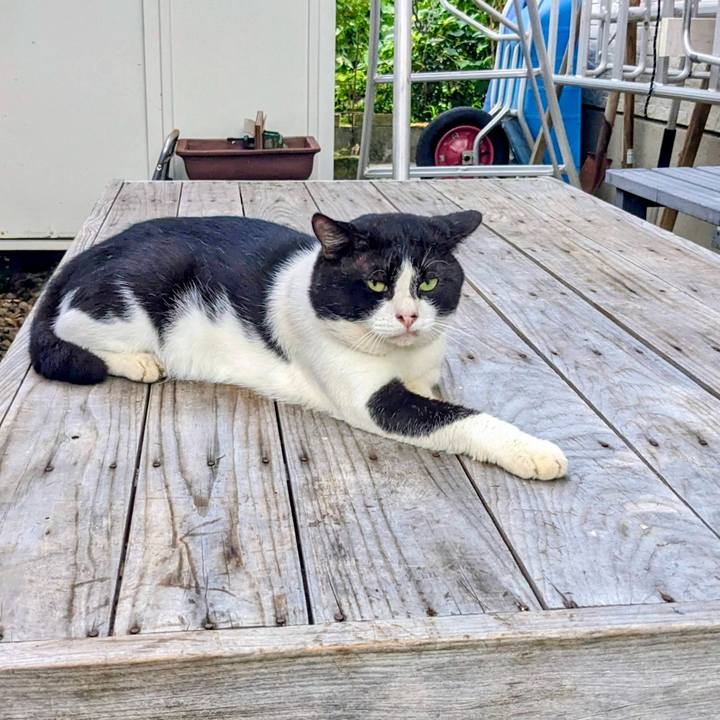 Ea296dad c585 420c b800 e5f8d61df1f7 1758014399404