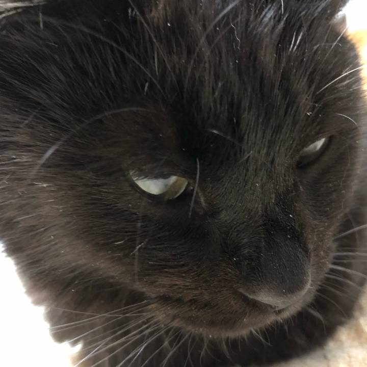 Ea29b066 f367 4cf1 9f8a 2a21924bd0fe 1592601530336