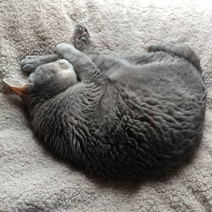 Ea29cd1a 515d 4c58 bb55 a46bb6aa11bc 1685060914167