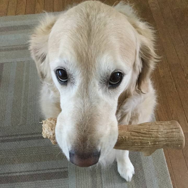 Ea29e2aa b12f 4e91 abd5 cbb70bef39c3 1552431247463