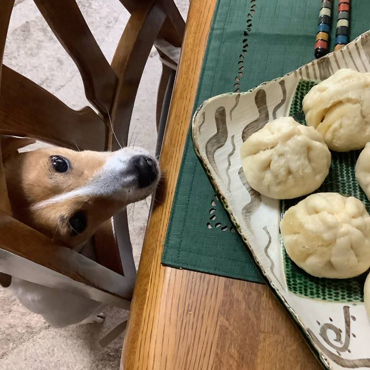 Ea29fc98 08ed 49c2 a161 c937fa58ff14 1605410950485