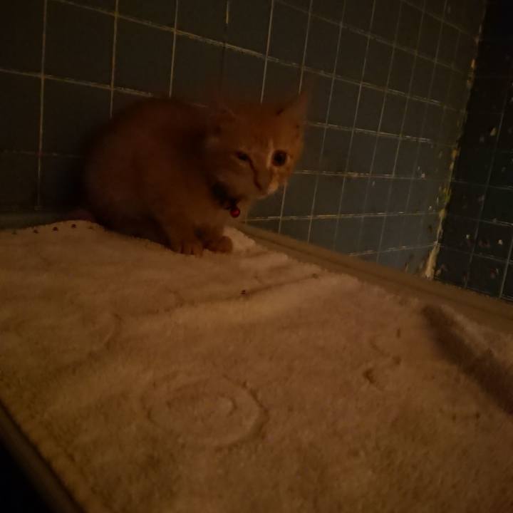 Ea2a40bf 3edc 415c 9e74 a0fae3d2f652 1630662321835