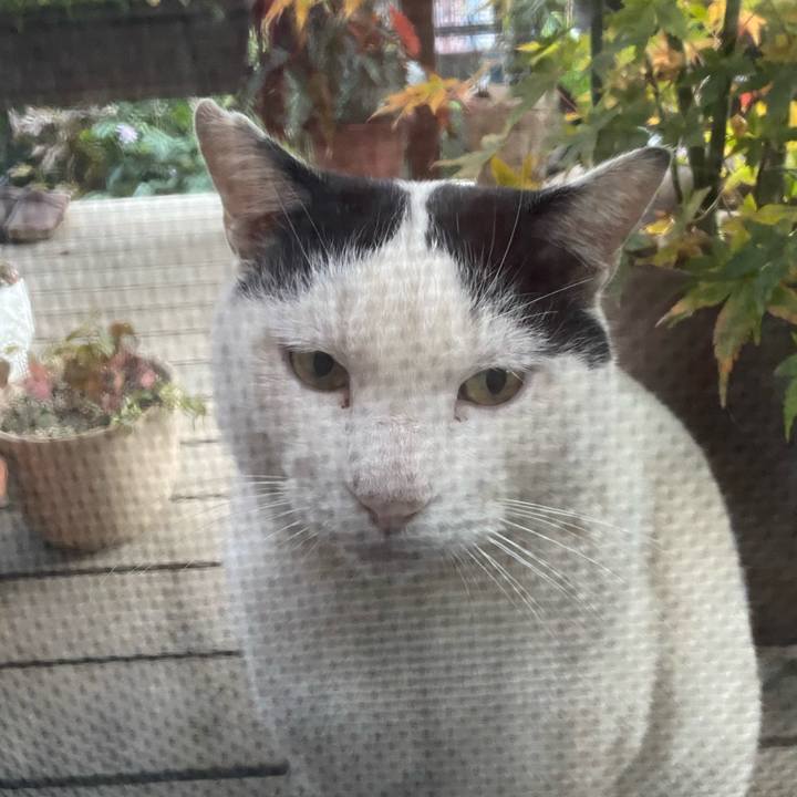 Ea2a49ed 7a00 40c0 87af c40a42e00c2a 1607064536024