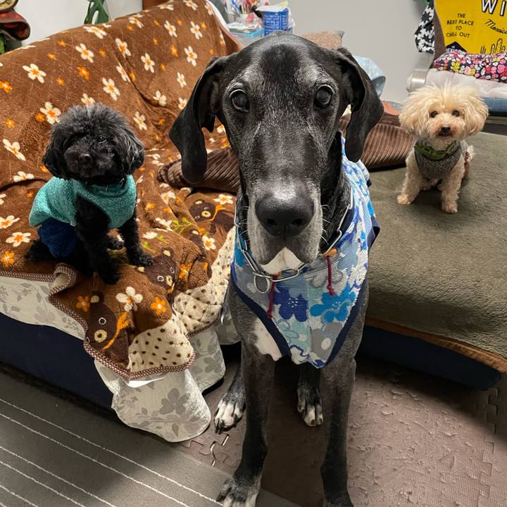 Ea2a7584 e305 477d 9b05 b371e9424dda 1611787095456