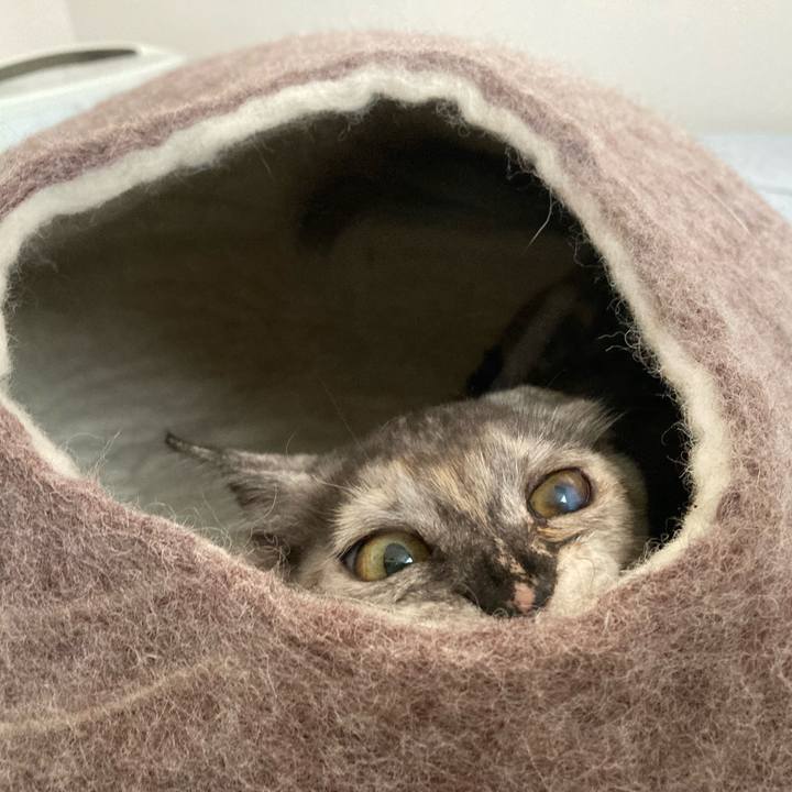 Ea2a8691 f818 4184 8a9e 8c485f17dbcb 1695258854066