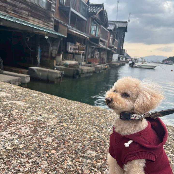 Ea2a9923 7eb3 413c 8148 63ab33bf4ad0 1764905467757