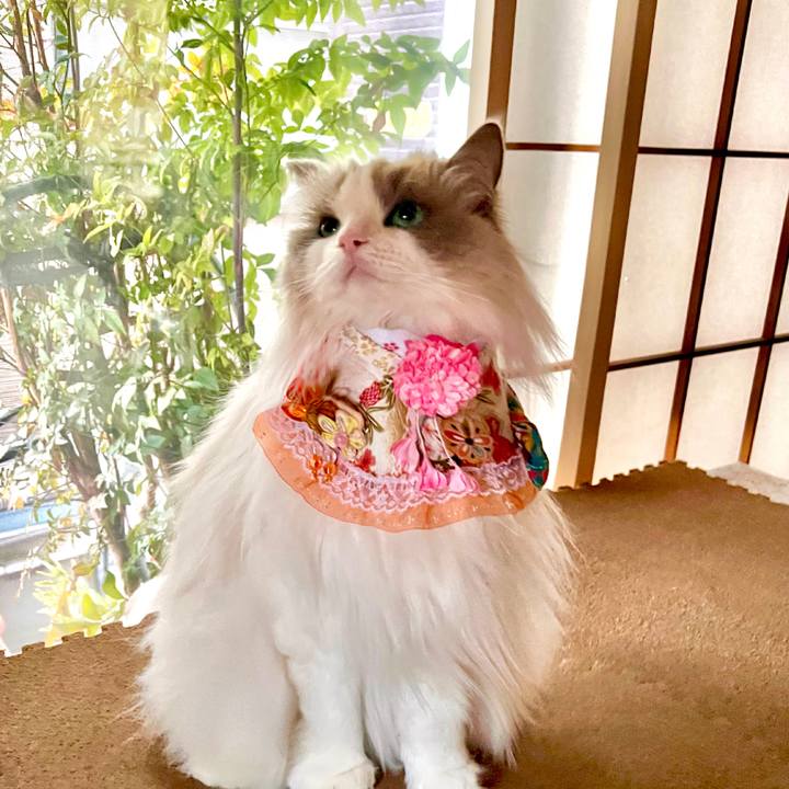 Ea2adf78 ddbe 4dd8 adbf 01e1b0f6d7cf 1646280820867